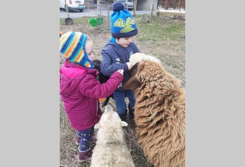 ホテル Uelis Stöckli Familienfreundliche Wohnung Auf Dem Bauernhof Mit Hotpot Und Alpakatrekking