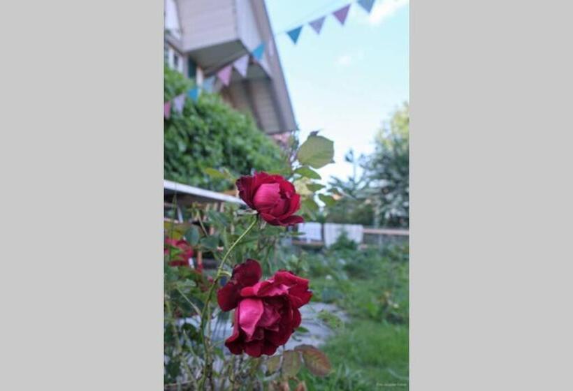 ホテル Uelis Stöckli Familienfreundliche Wohnung Auf Dem Bauernhof Mit Hotpot Und Alpakatrekking