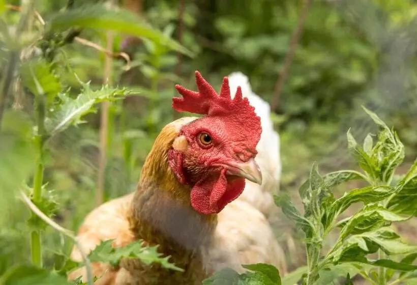 Maison Nature Et Detente Aux Portes De La Baie
