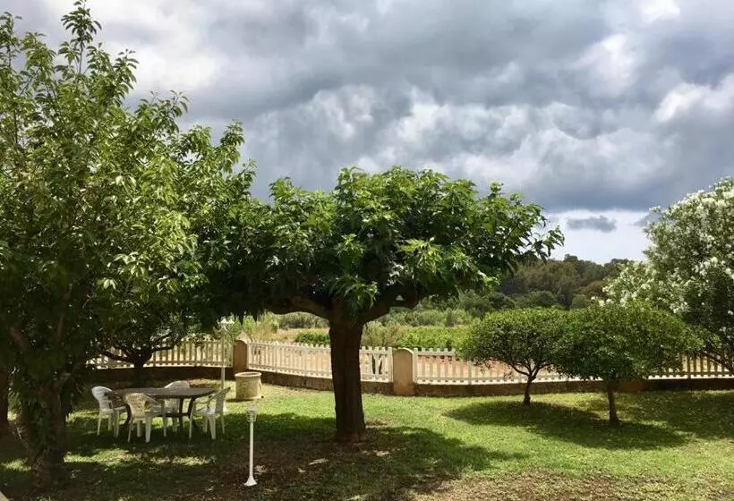 ベッドアンドブレックファースト Sous Les Pins Gîtes Et Chambres D Hôtes