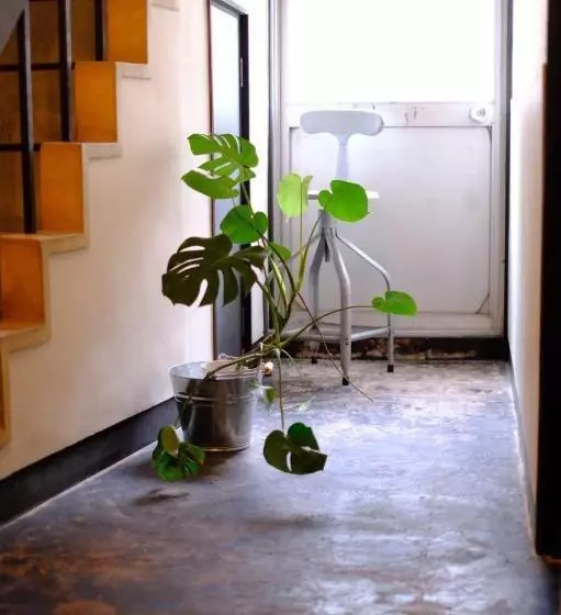 Beppu Hostel&cafe Ourschestra