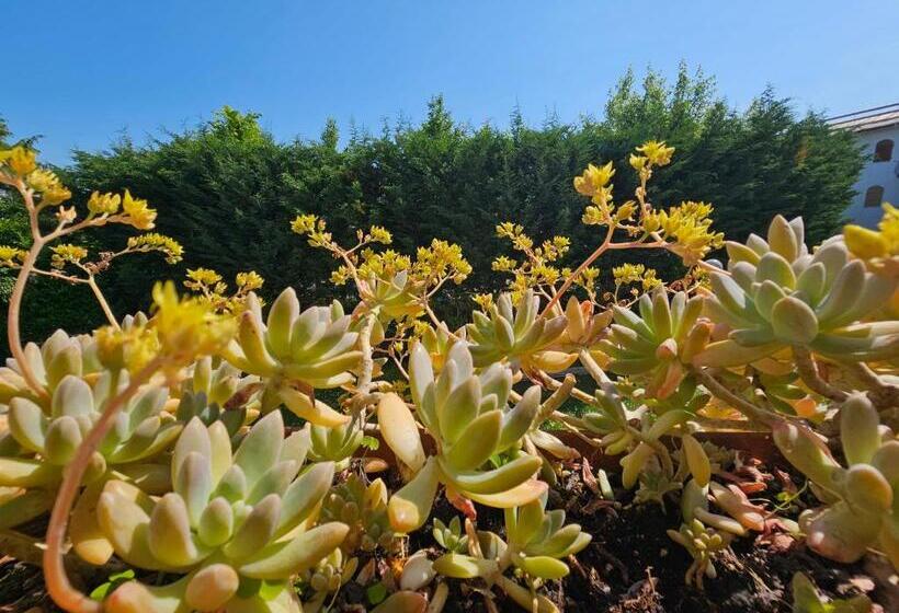 Casa Olympia   By Tourquoisevea