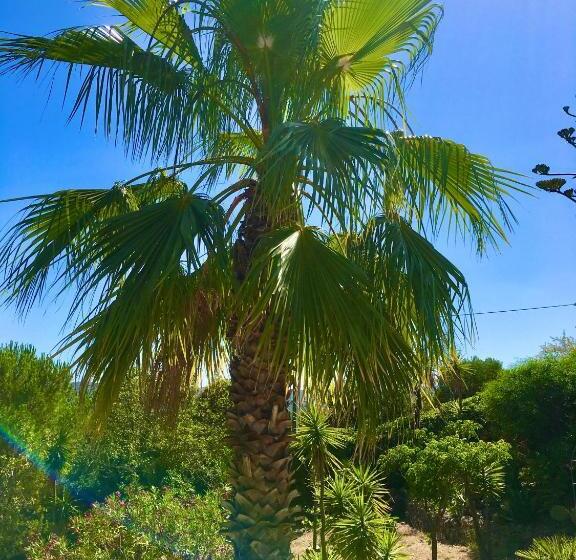 Magical Villa Casa Koi In Sao Bras De Alportel