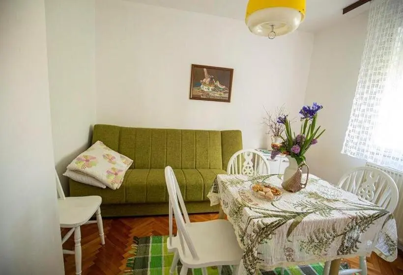 پانسیون Apartmani Didić