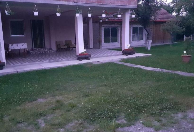 بنسيون Casa Pandrea