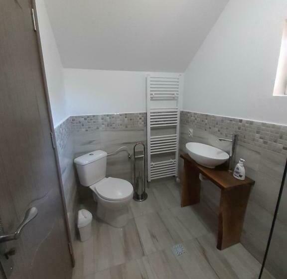 بنسيون Casa Pandrea