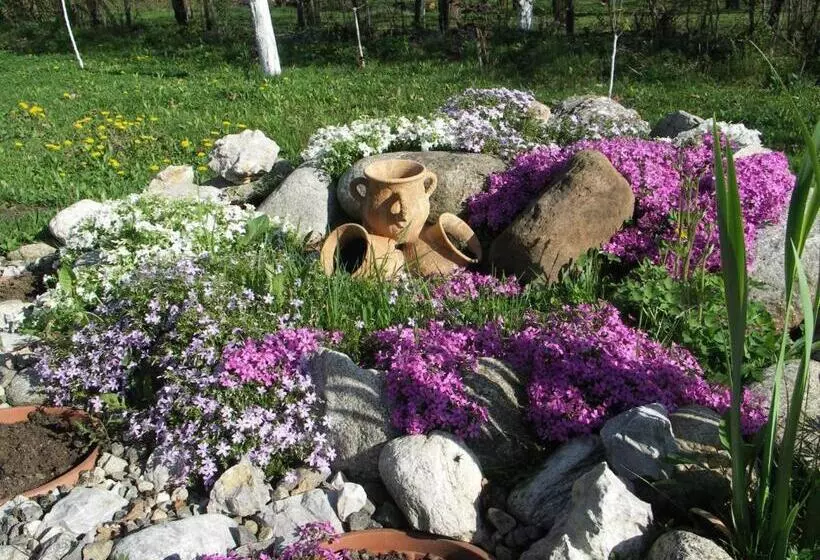 ペンション Casuta Din Lunca