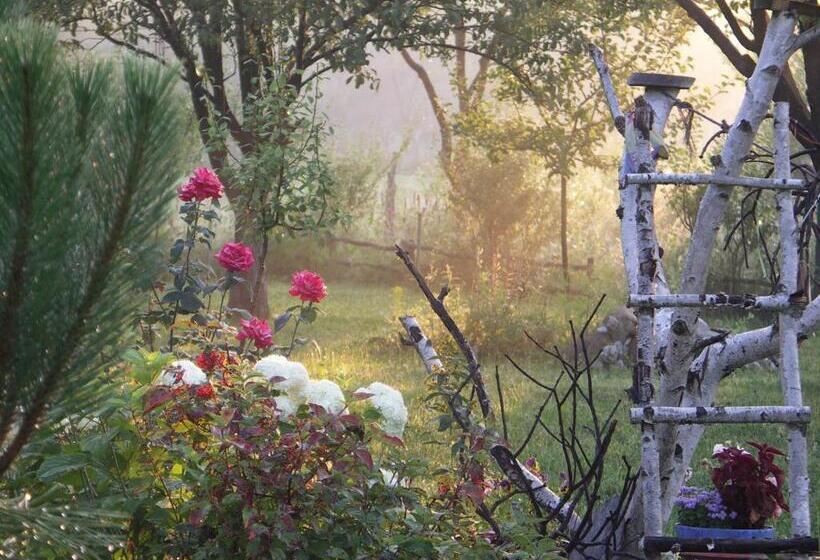 Пансион Casuta Din Lunca