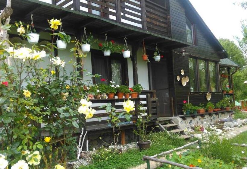 Пансион Casuta Din Lunca