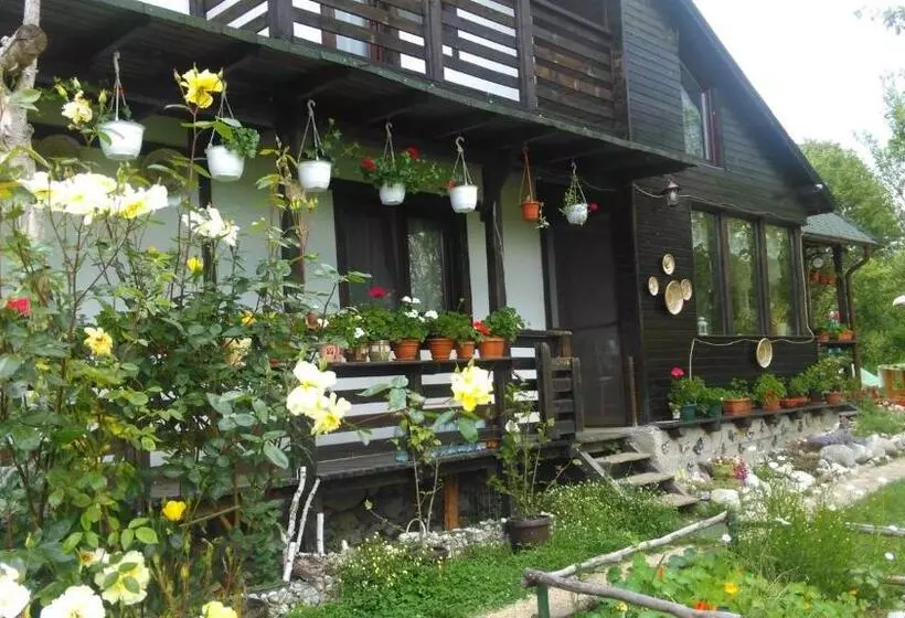 ペンション Casuta Din Lunca