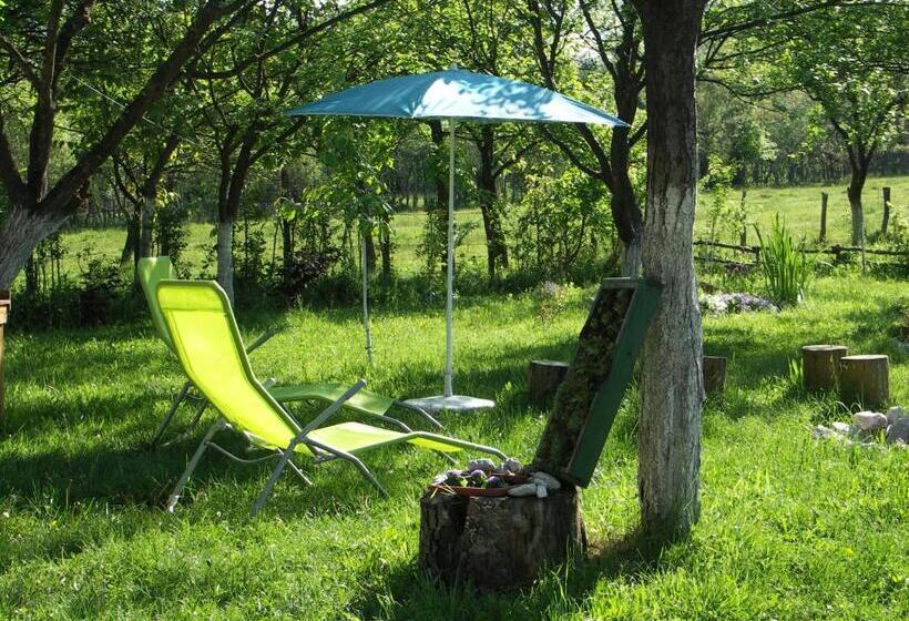 Пансион Casuta Din Lunca