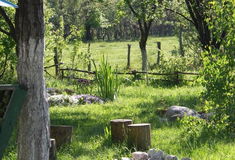 Пансион Casuta Din Lunca