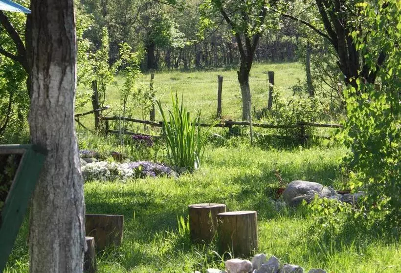 ペンション Casuta Din Lunca