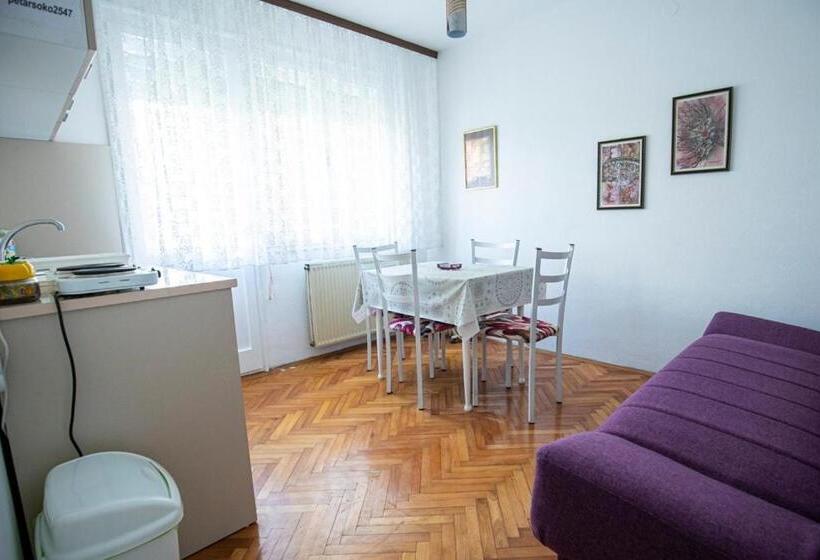 پانسیون Apartmani Didić