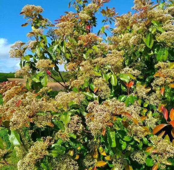 Aamiaismajoitus (B&B) La Voureyline