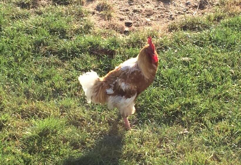 צימר Le Marronnier Entre Les Buis