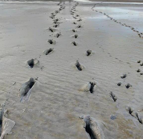 Escapade En Baie 3étoiles