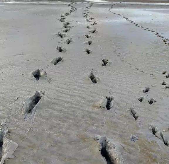 Escapade En Baie 3étoiles