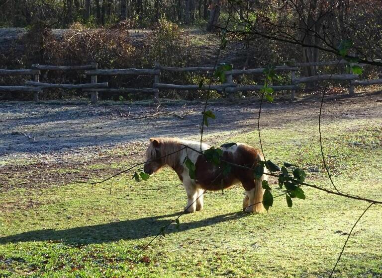 בית מלון כפרי Agriturismo Campo Dei Fiori