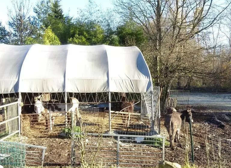 ホテル Agriturismo Campo Dei Fiori