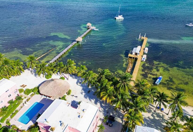 فندق Caribe Island Studio #2