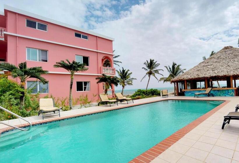 فندق Caribe Island Studio #2