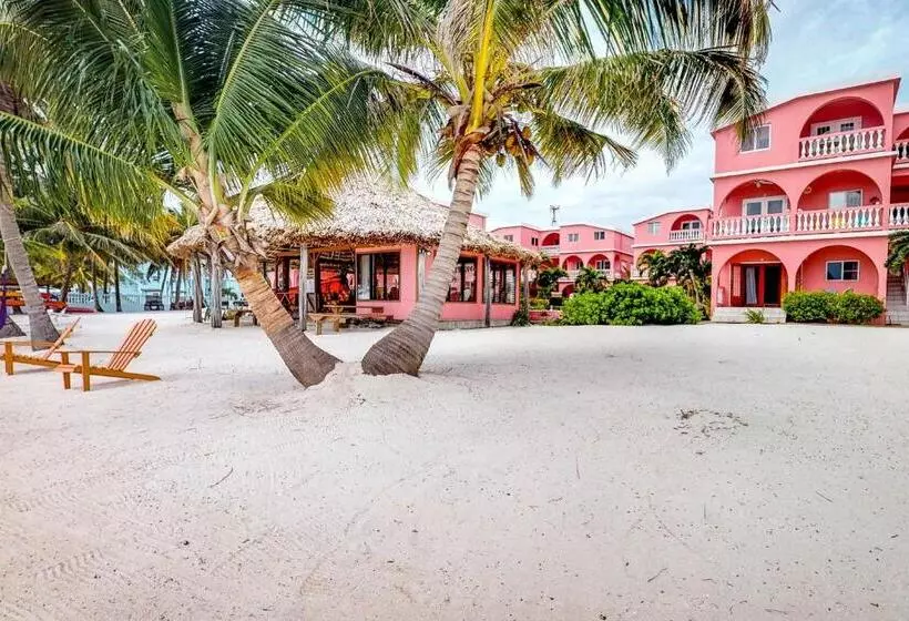 هتل Caribe Island Studio #2