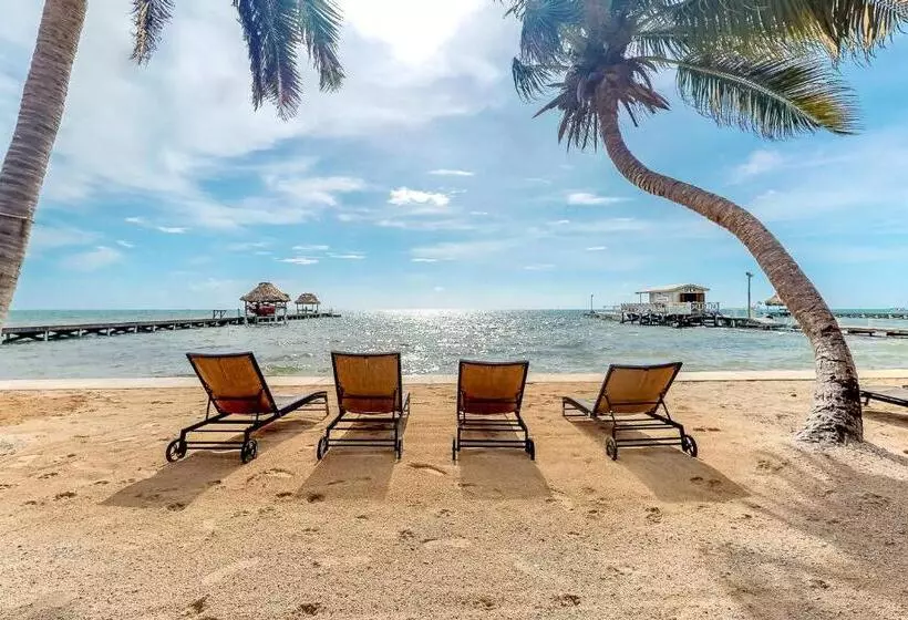 هتل Caribe Island Studio #2