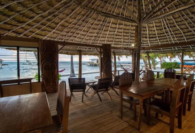 فندق Caribe Island Studio #2