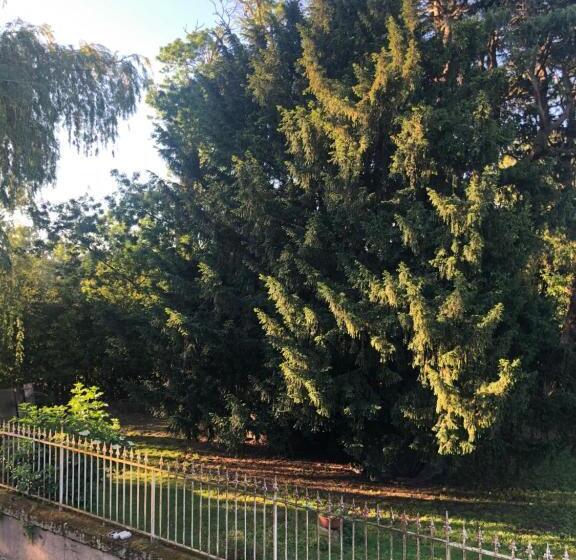 Loft Industriel Privé Climatisé Piscine Intérieure Terrasse Spa Et Jardin