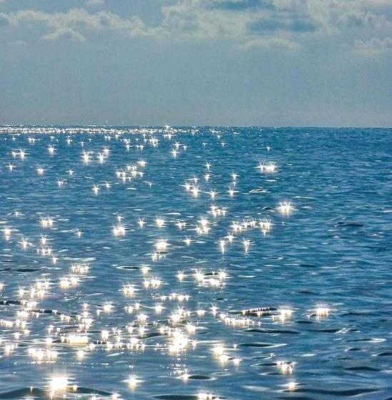 Orbi City Business Class Apart