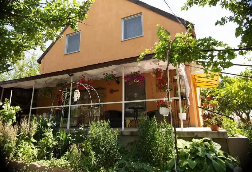 ペンション Casa Dany