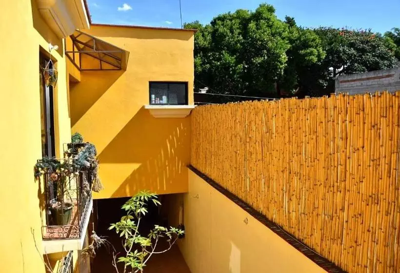 پانسیون Casa Gecko