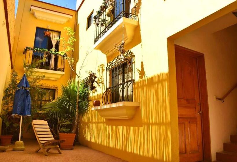 پانسیون Casa Gecko