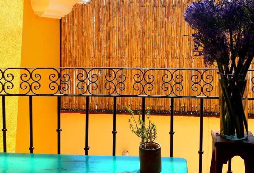 پانسیون Casa Gecko