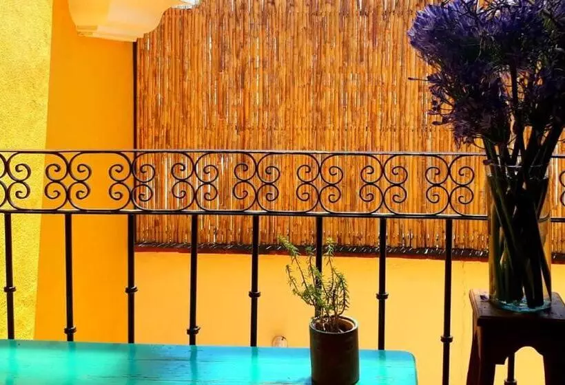 پانسیون Casa Gecko