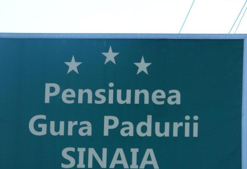 膳宿费 Gura Padurii