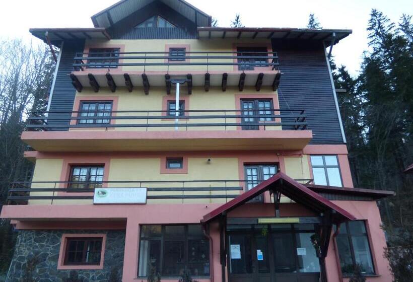 Пансион Gura Padurii