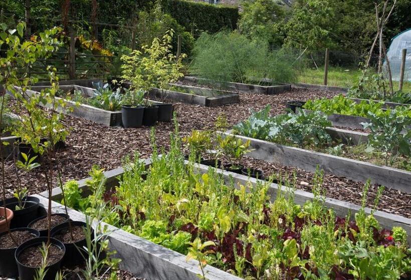 Pensjonat The Old Parsonage, Tigley