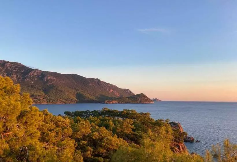 تختخواب و صبحانه Karaöz Ada Bungalows & Villa