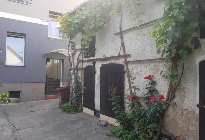 Gästewohnung Mit Küche Magdeburg An Der Elbe