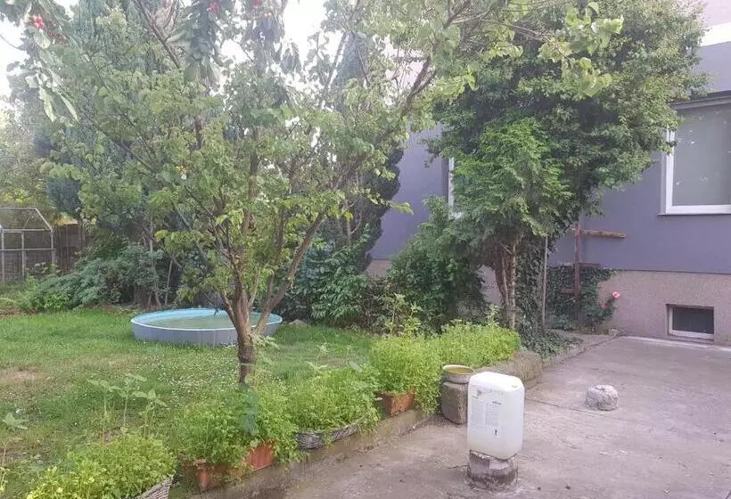 Gästewohnung Mit Küche Magdeburg An Der Elbe