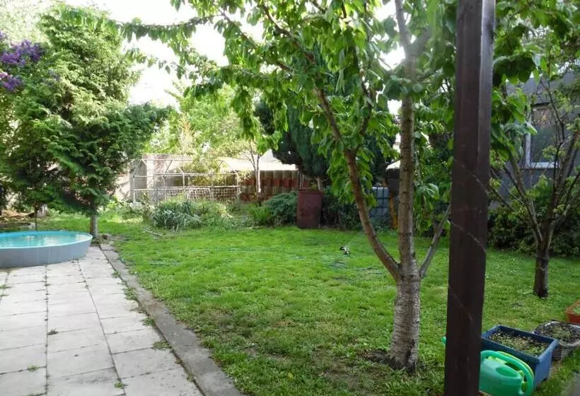 Gästewohnung Mit Küche Magdeburg An Der Elbe