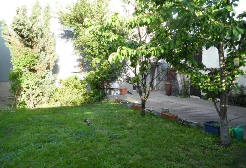 Gästewohnung Mit Küche Magdeburg An Der Elbe