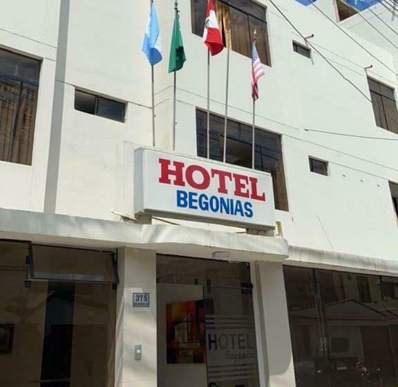 هتل Begonias