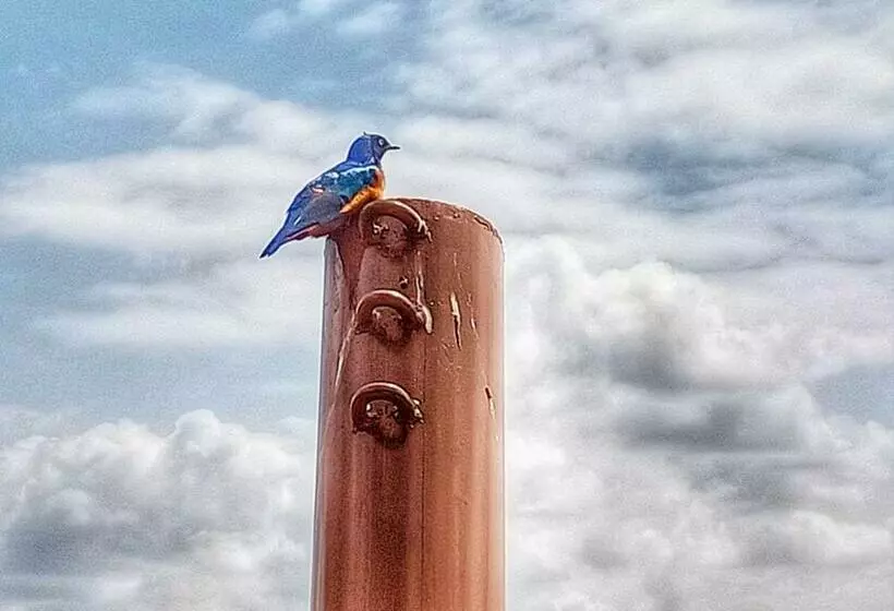 استراحتگاه Sarova Maiyan Nanyuki