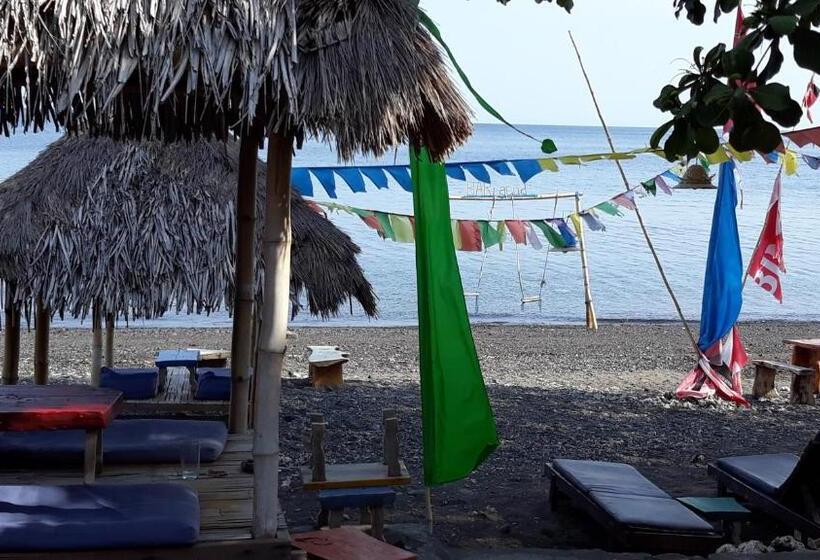 פנסיון Barracuda Beach Hostel