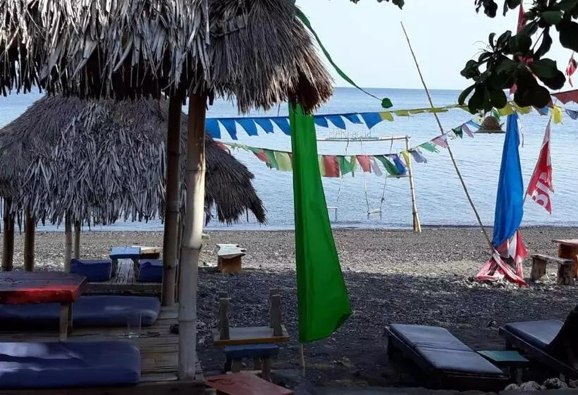Pension Barracuda Beach Hostel