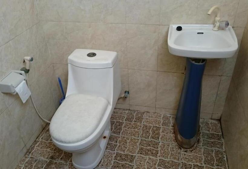 פנסיון Barracuda Beach Hostel