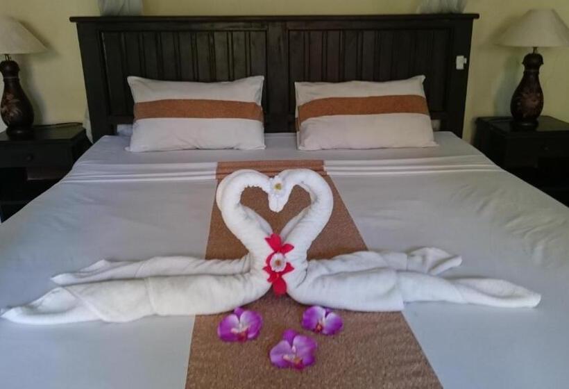 פנסיון Barracuda Beach Hostel